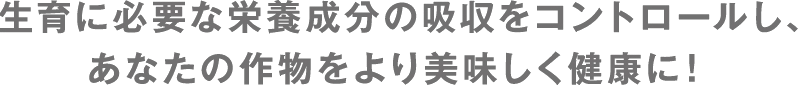 生育に必要な栄養成分の吸収をコントロールし、あなたの作物をより美味しく健康に！