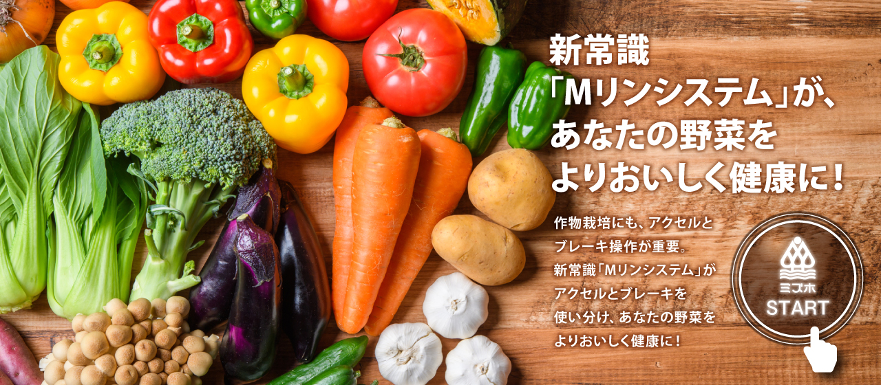 新常識「Mリンシステム」が、あなたの野菜をよりおいしく健康に！