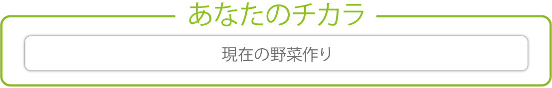 あなたのチカラ　現在の野菜作り