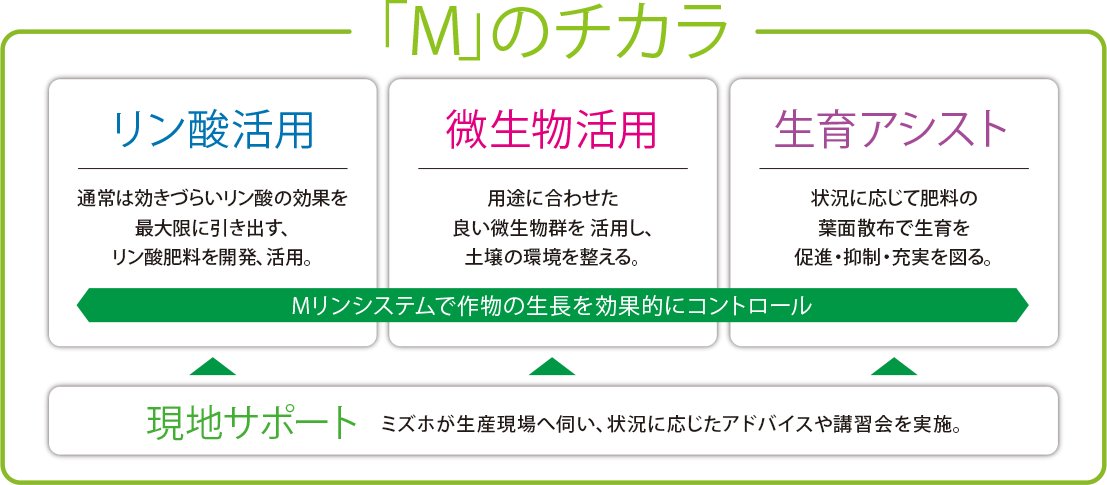 Mリンシステムで作物の生長を効果的にコントロール