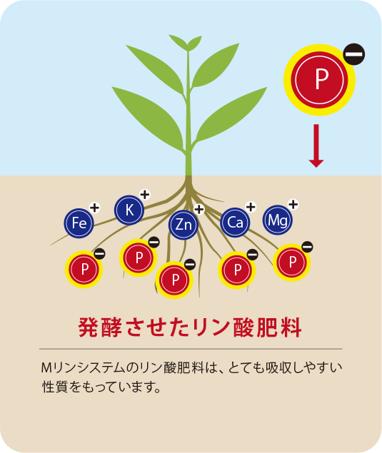 効かせる効果は絶大