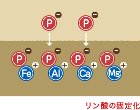 リン酸が効かない原因