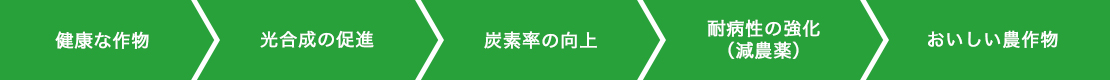 『美味しい農作物』は安全である