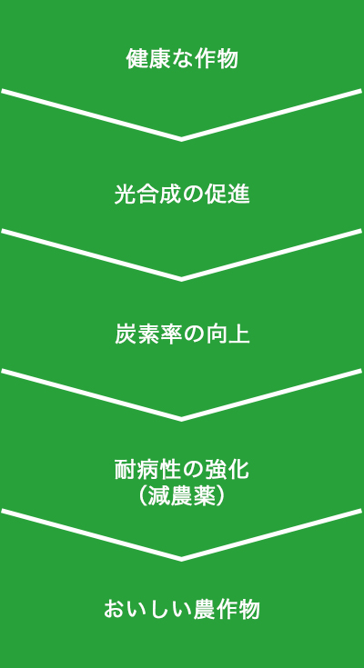 『美味しい農作物』は安全である