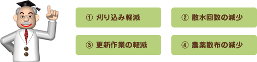 Mリン農法が解決！「芝生管理」のメリット