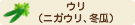 、ウリ（ニガウリ、冬瓜）