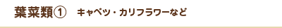 葉菜類①　キャベツ・カリフラワーなど