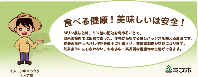 食べる健康！美味しいは安全！