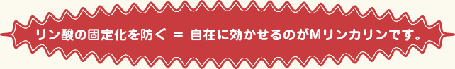 リン酸の固定化を防ぐ＝自在に効かせるのがMリンカリンです。