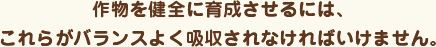 作物を健全に育成させるには、これらがバランスよく吸収されなければいけません