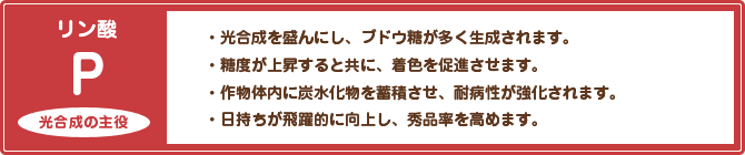 光合成の主役、リン酸について