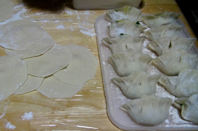 包んだ餃子(茹でる前)